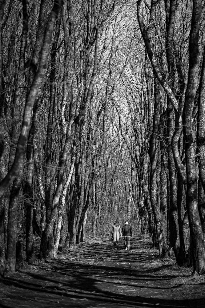 Photograph by Иван Новиков