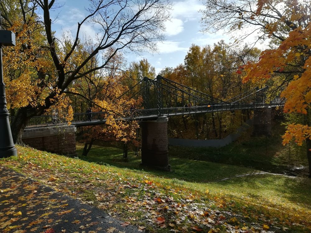 Photograph by Елизавета