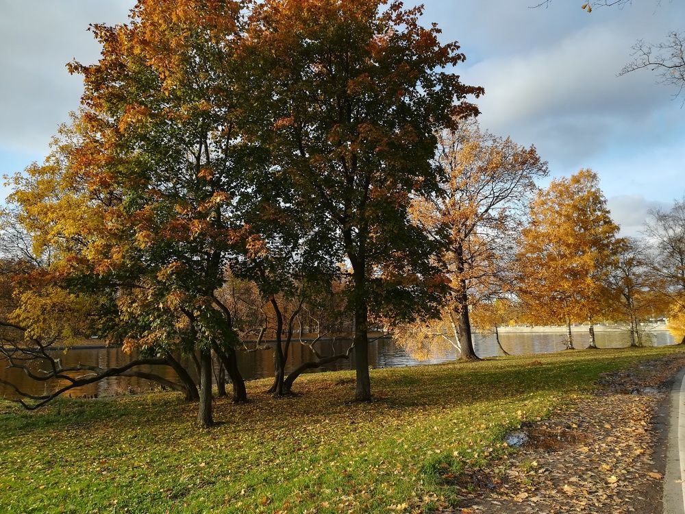 Photograph by Елизавета