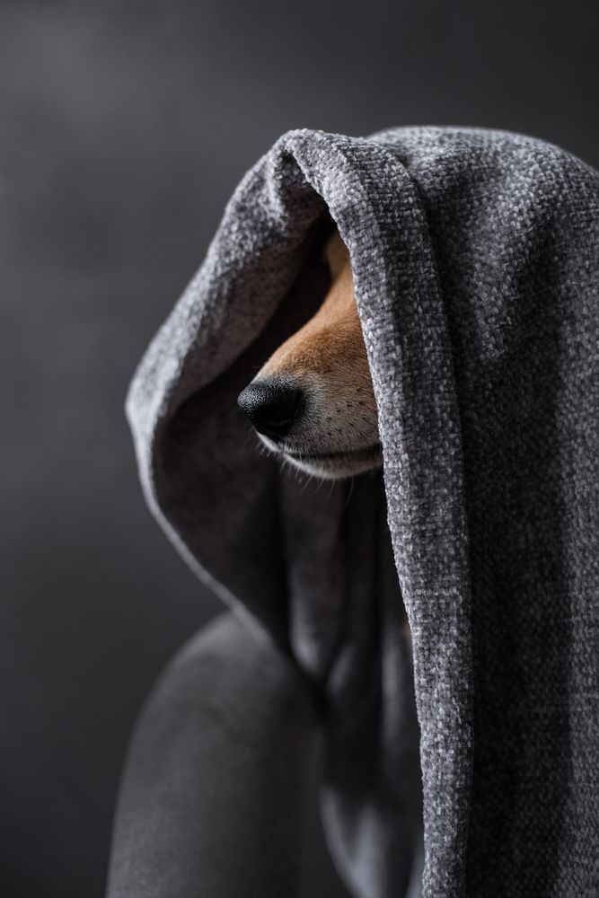 Photograph by Марина Шишкина