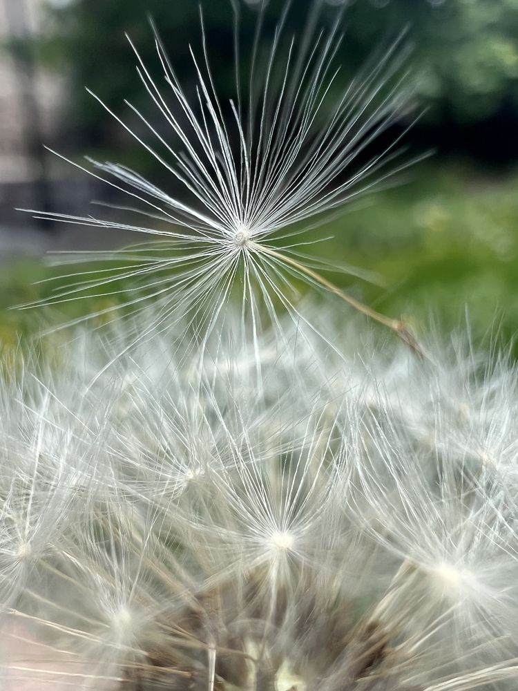 Photograph by Александра Акси