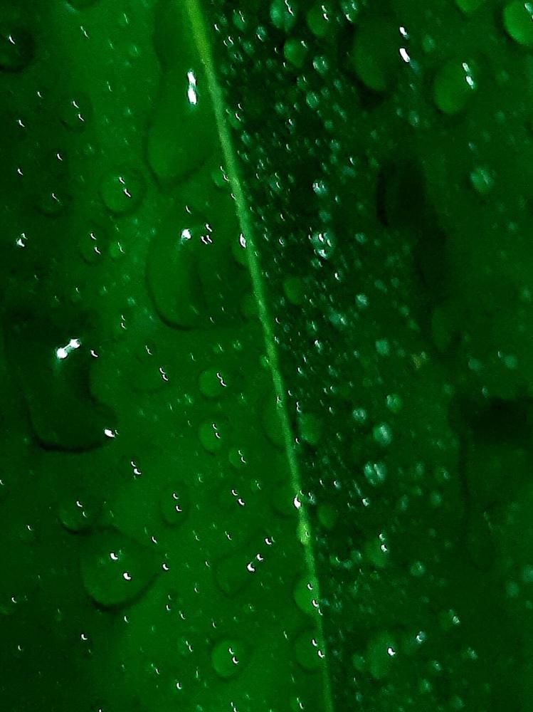 Фотография автора Наталья Шендяпина