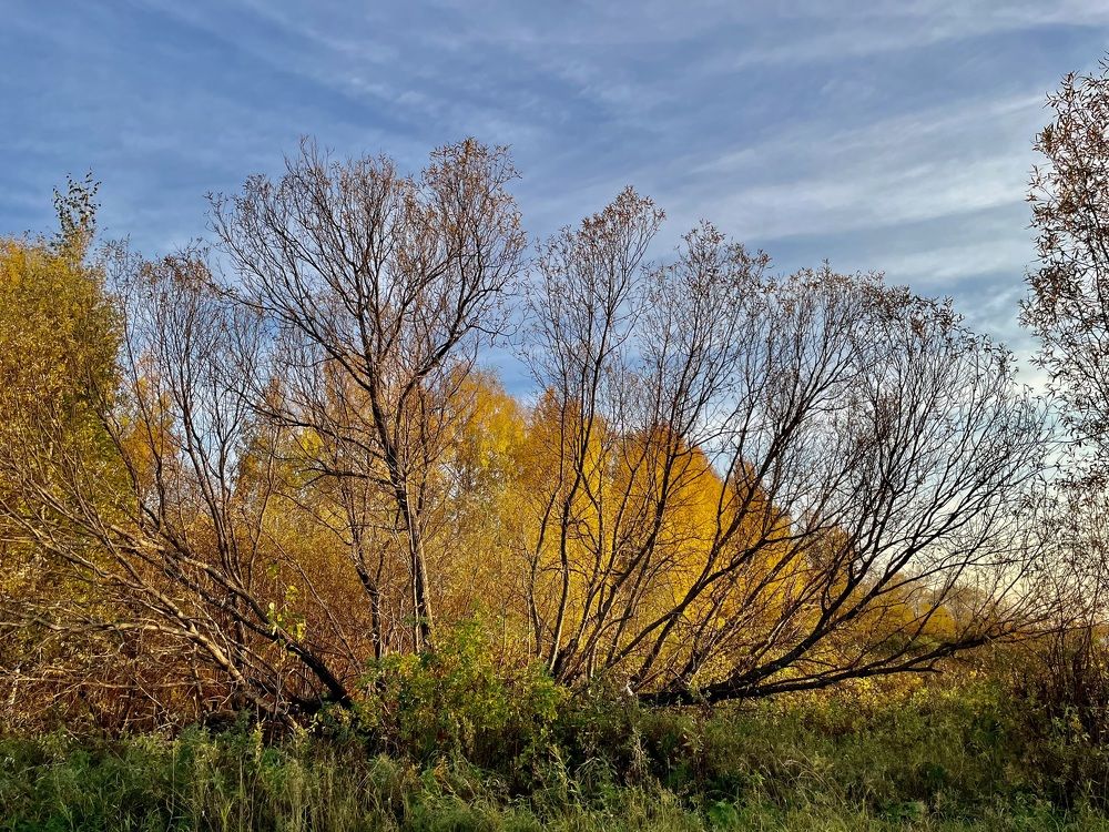 Photograph by Анастасия Авдеева