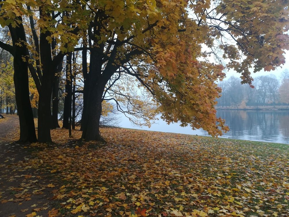 Photograph by Елизавета