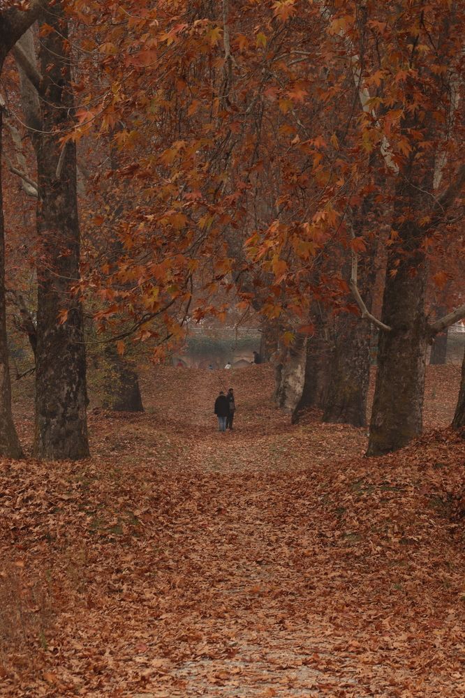 Photograph by Firdous Parray