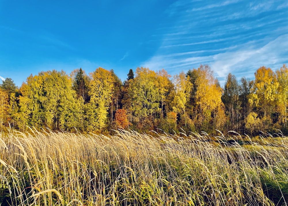 Photograph by Анастасия Авдеева