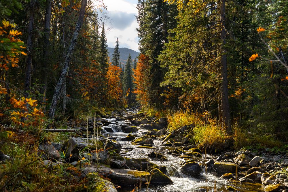 Фотография автора Алексей Крючков