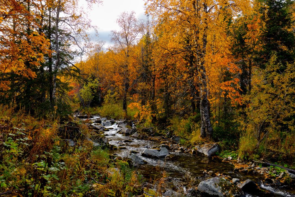 Фотография автора Алексей Крючков