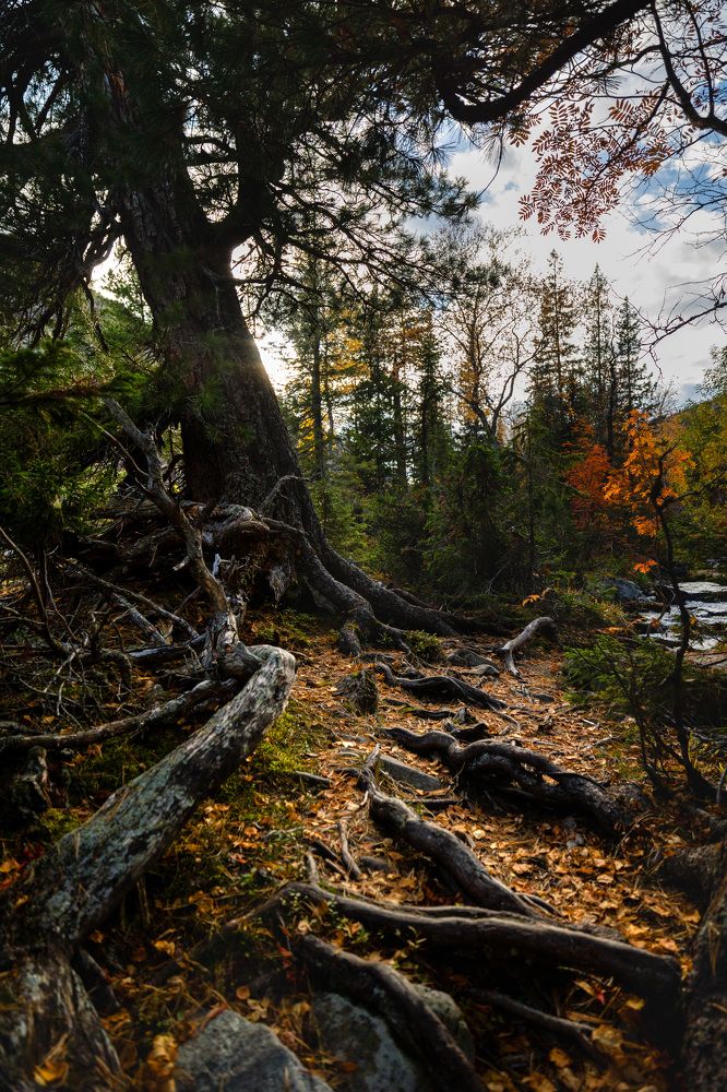 Фотография автора Алексей Крючков