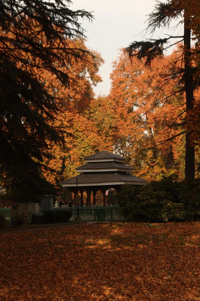 Photograph by Firdous Parray