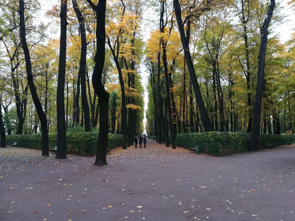 Photograph by Елизавета