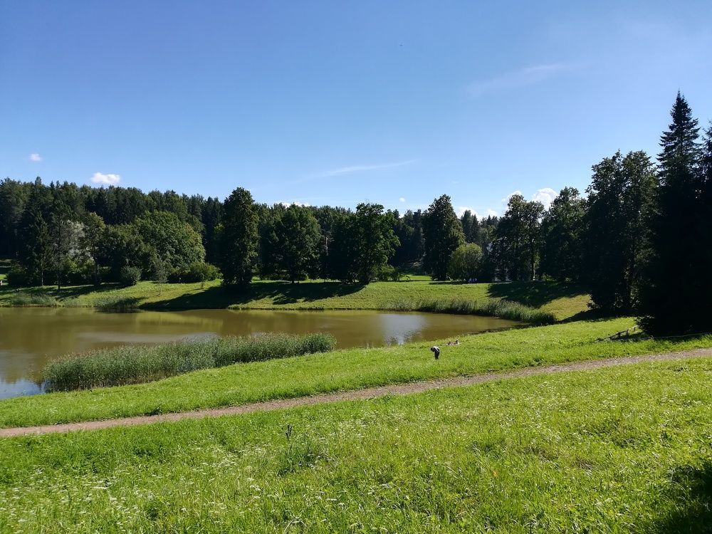 Photograph by Елизавета