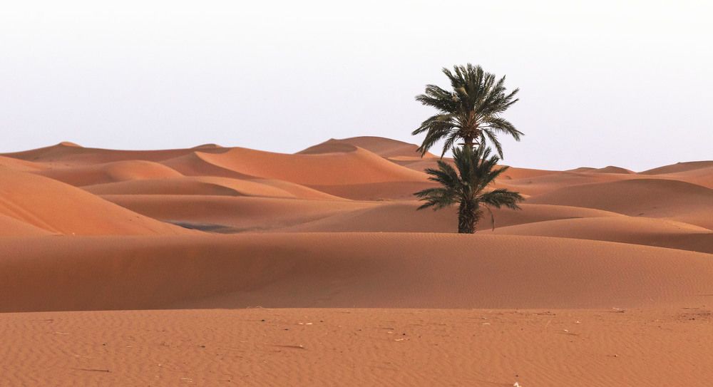 Photograph by Валентина Лопаткина