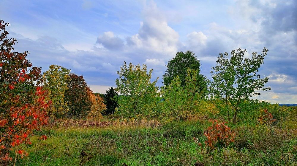 Photograph by Николай Худяков