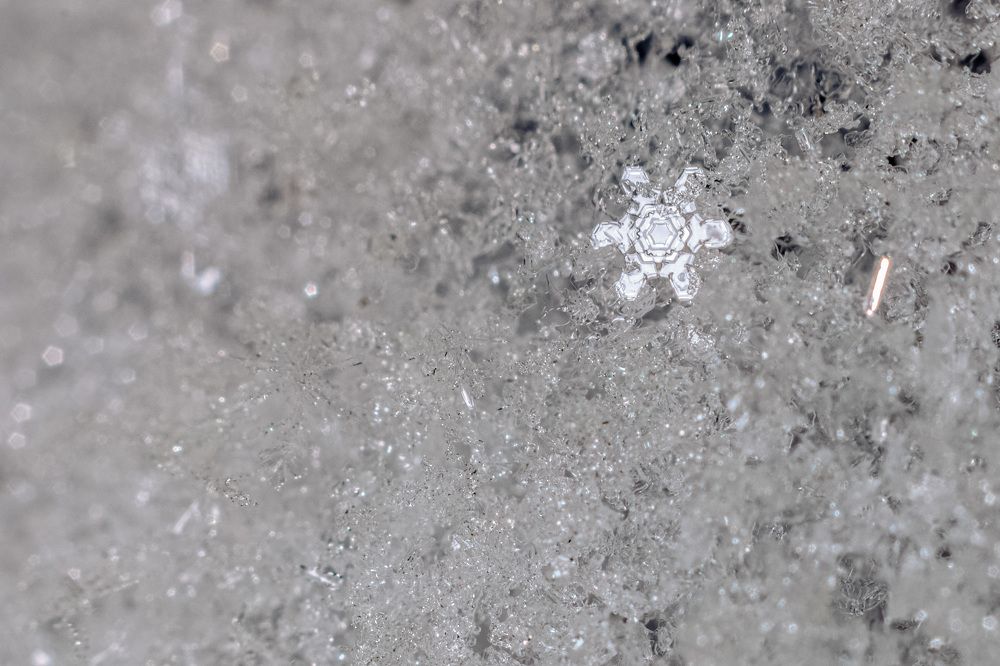 Photograph by Алексей Чеботарев