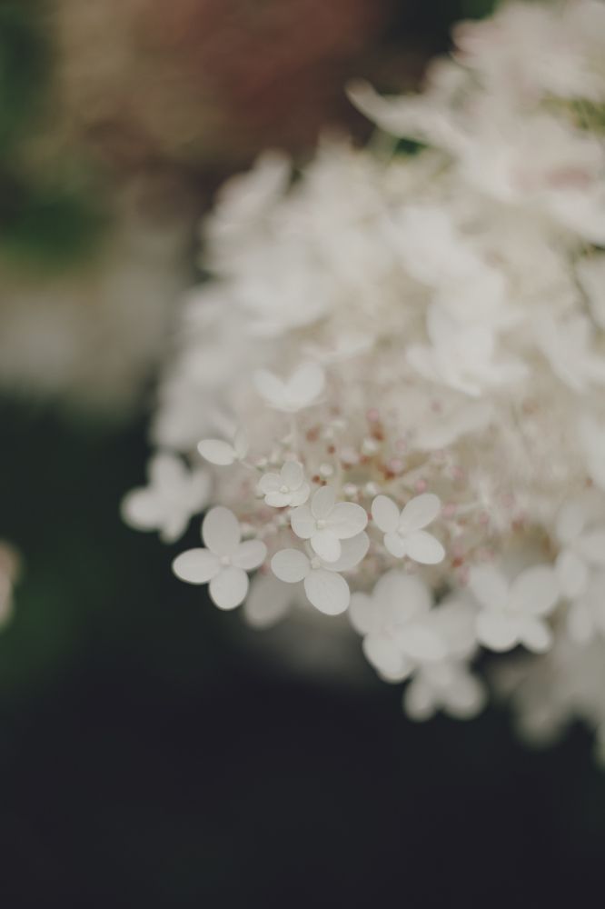 Photograph by Elena Kilina