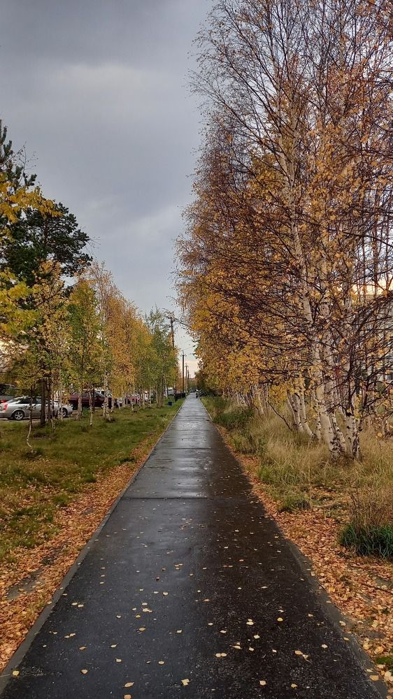 Фотография автора Евгения Зайцева