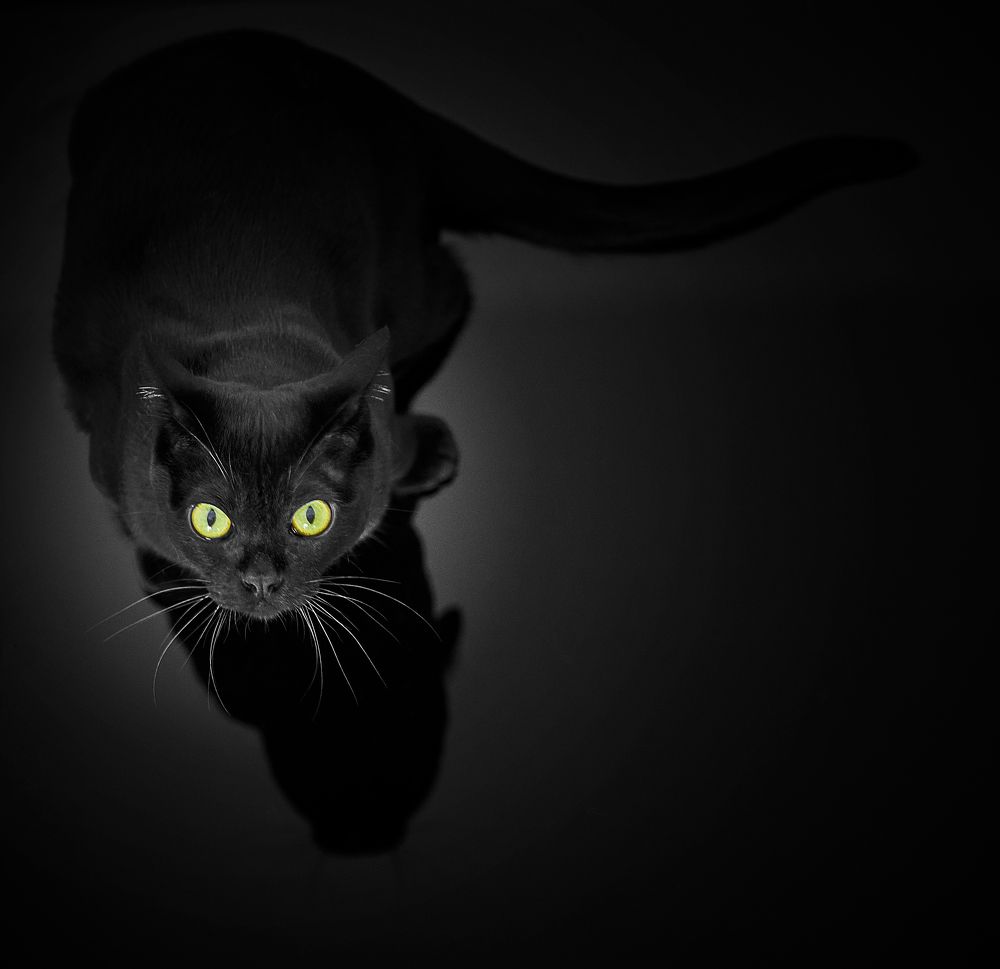 Photograph by Boris Bekelman