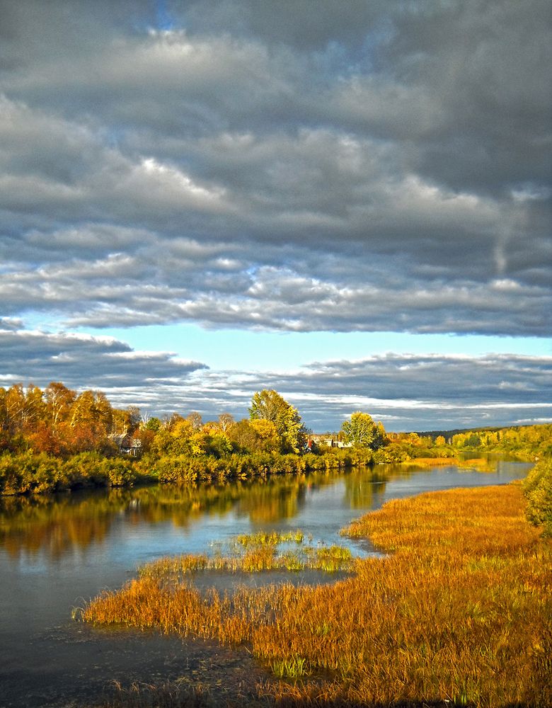 Осенние контрасты...