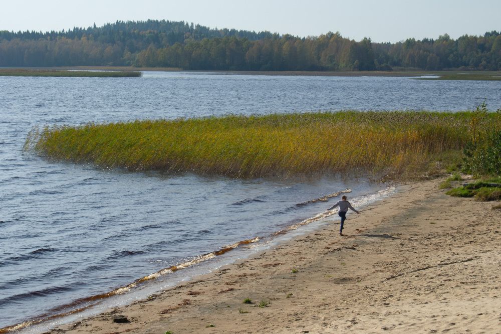 Photograph by Наталья Зверева