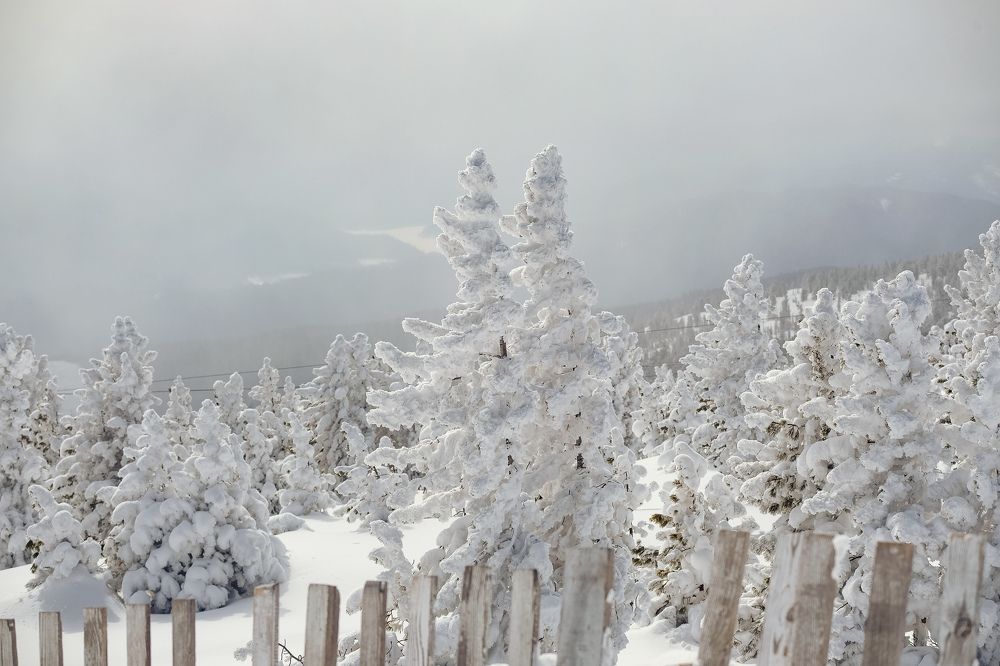 Photograph by Анна Герман