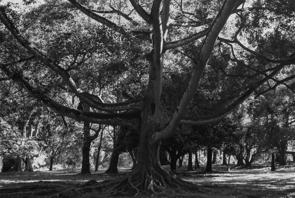 Фотография автора Яврова Татьяна