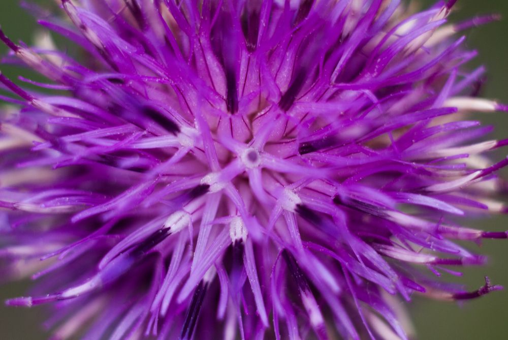 Photograph by Анастасия Фохт