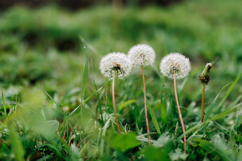 Photograph by Elena Kilina