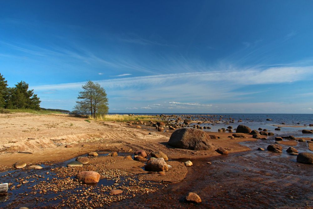 Финский залив