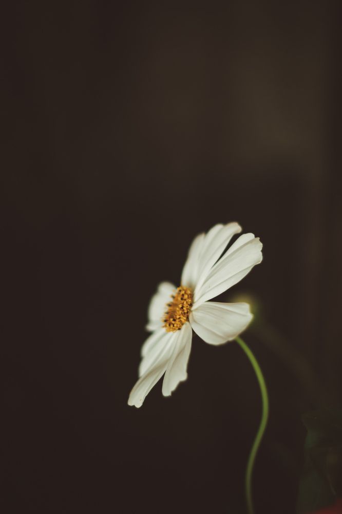 Photograph by Elena Kilina