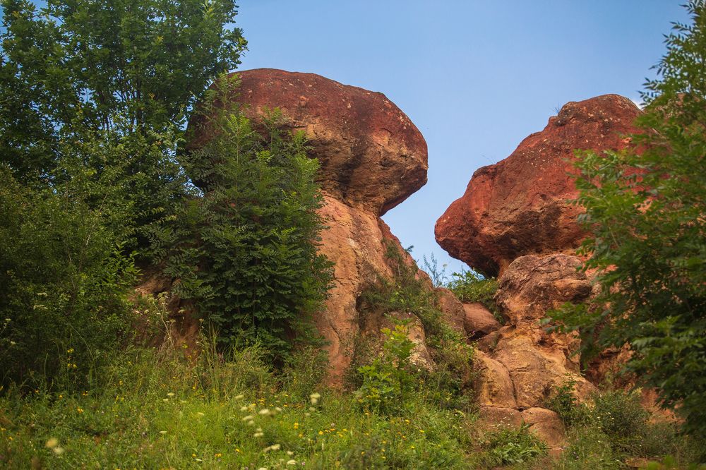 Photograph by Виталий Са