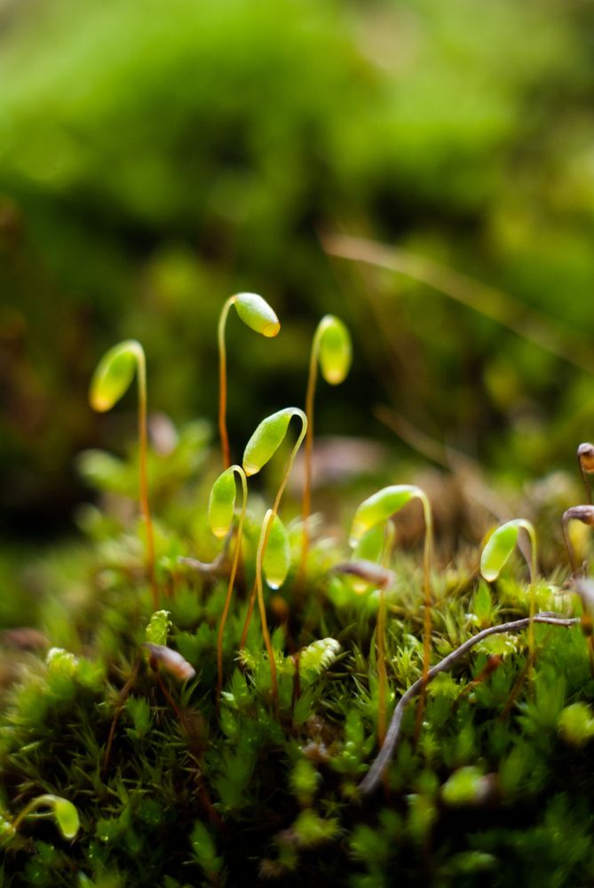 Photograph by Анастасия Фохт