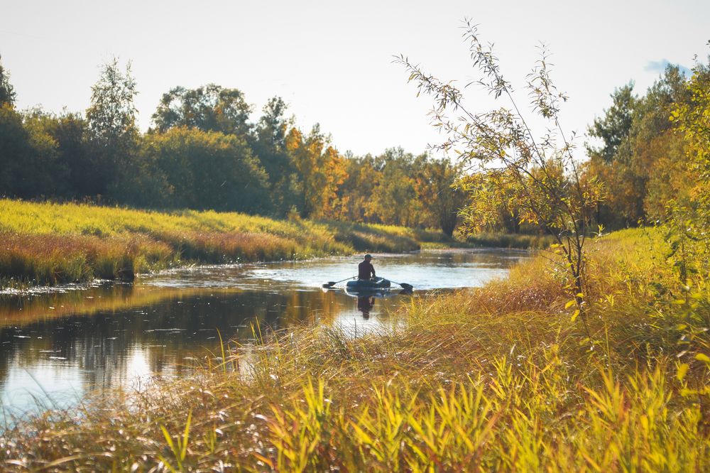 Фотография автора Елена Разина