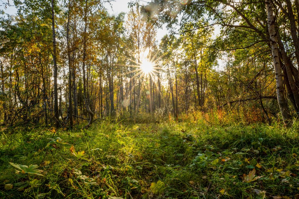 Photograph by Валентин