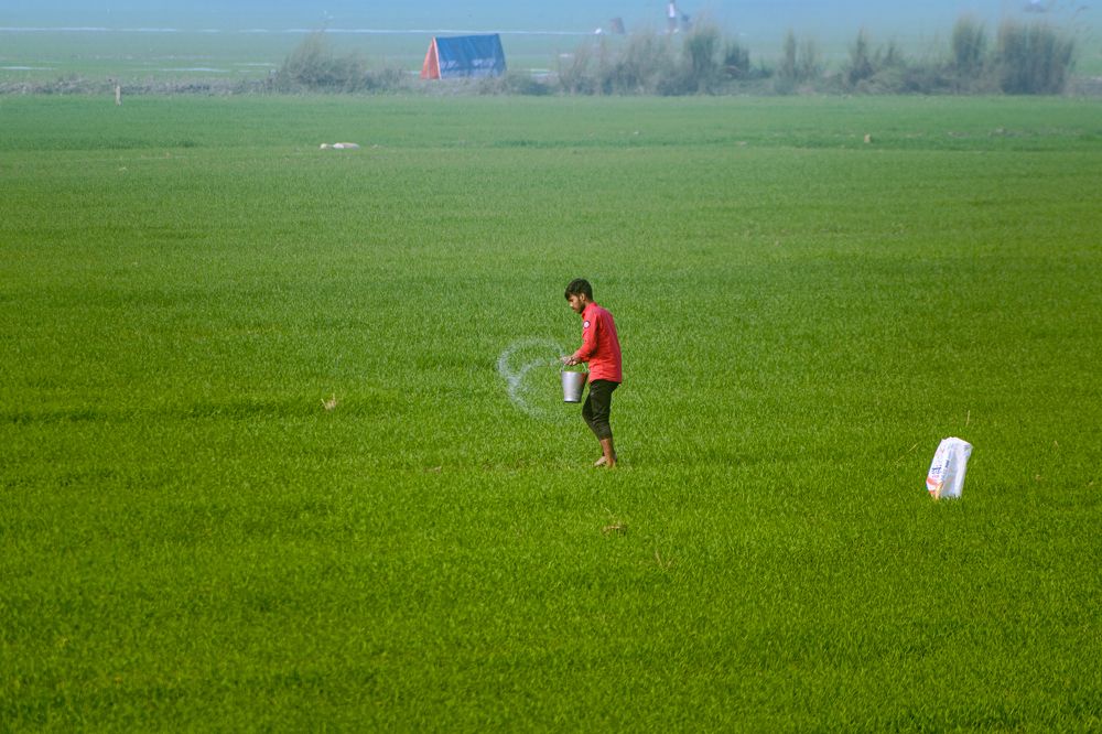 Photograph by Rahul Kashyap