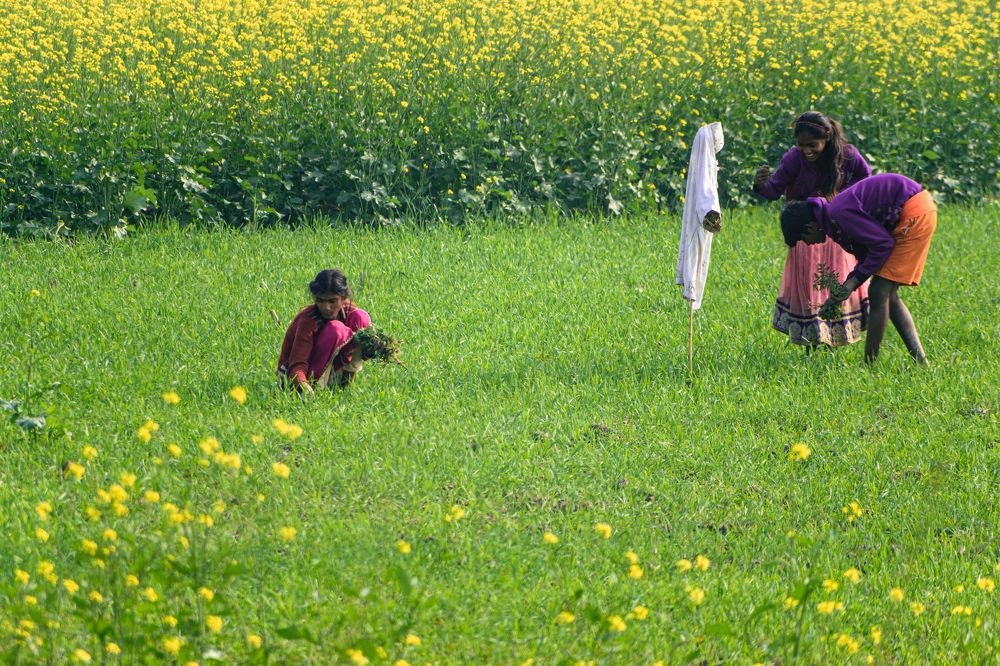 Photograph by Rahul Kashyap