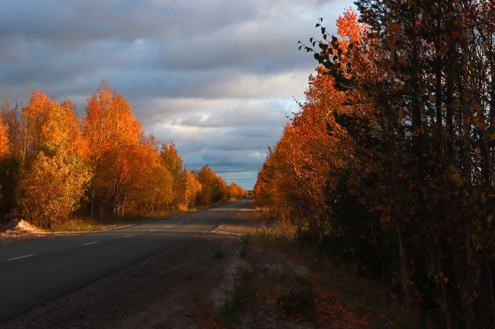 Фотография автора Елена Разина