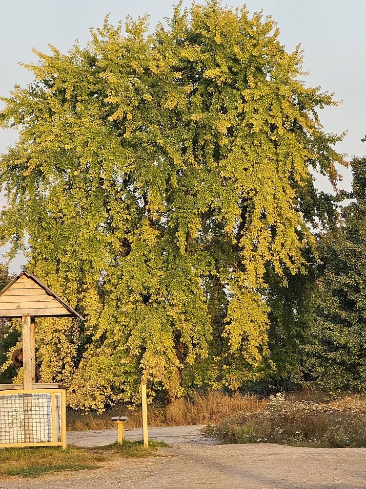 Photograph by даша ващенко