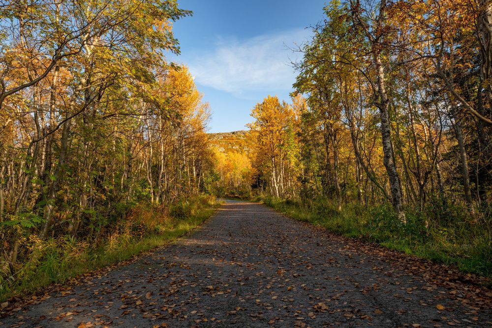 Photograph by Валентин