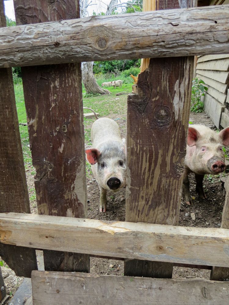 Photograph by Дарья Овсянникова