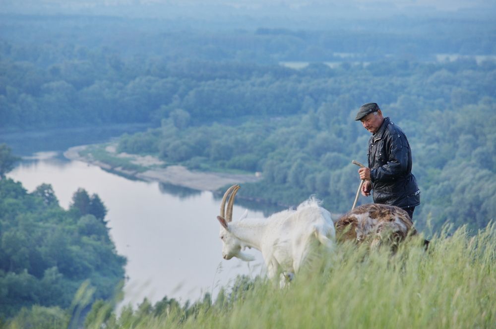 Photograph by Новиков Владимир