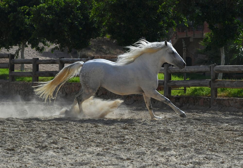 Photograph by Kaouche Mohamed