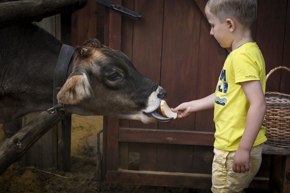 Photograph by Пирог Борис