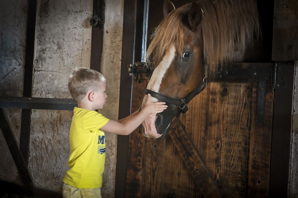 Photograph by Пирог Борис