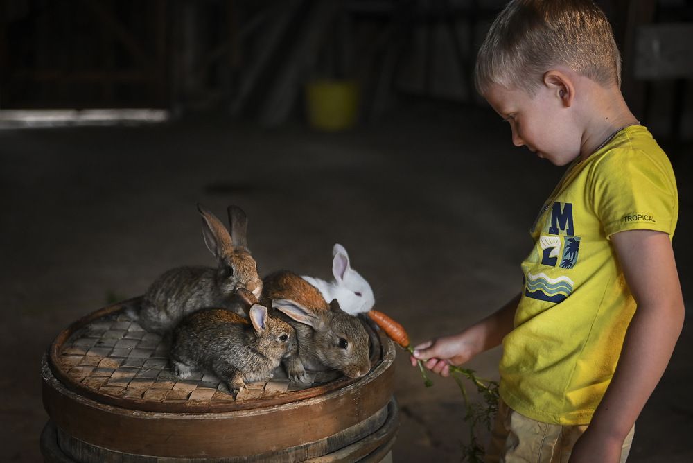 Photograph by Пирог Борис