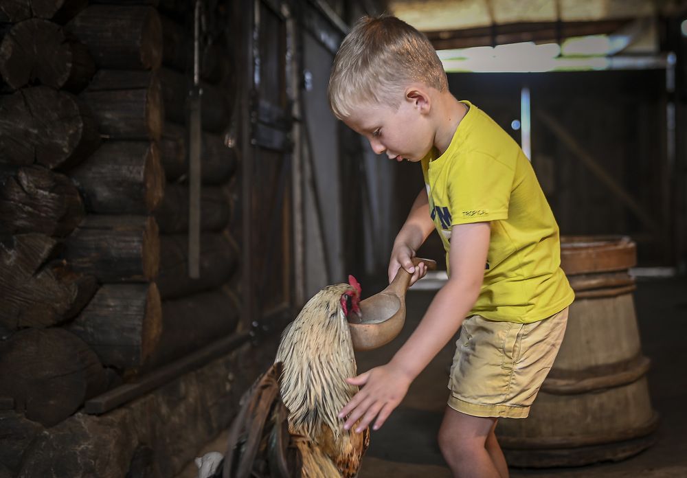 Photograph by Пирог Борис