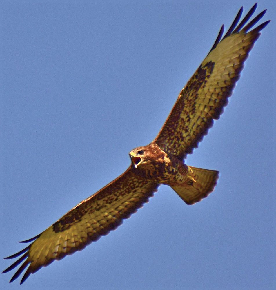 Photograph by Александр Шувалов
