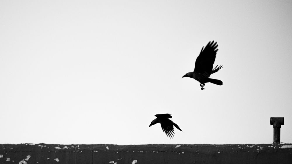 Photograph by Rahul Kashyap