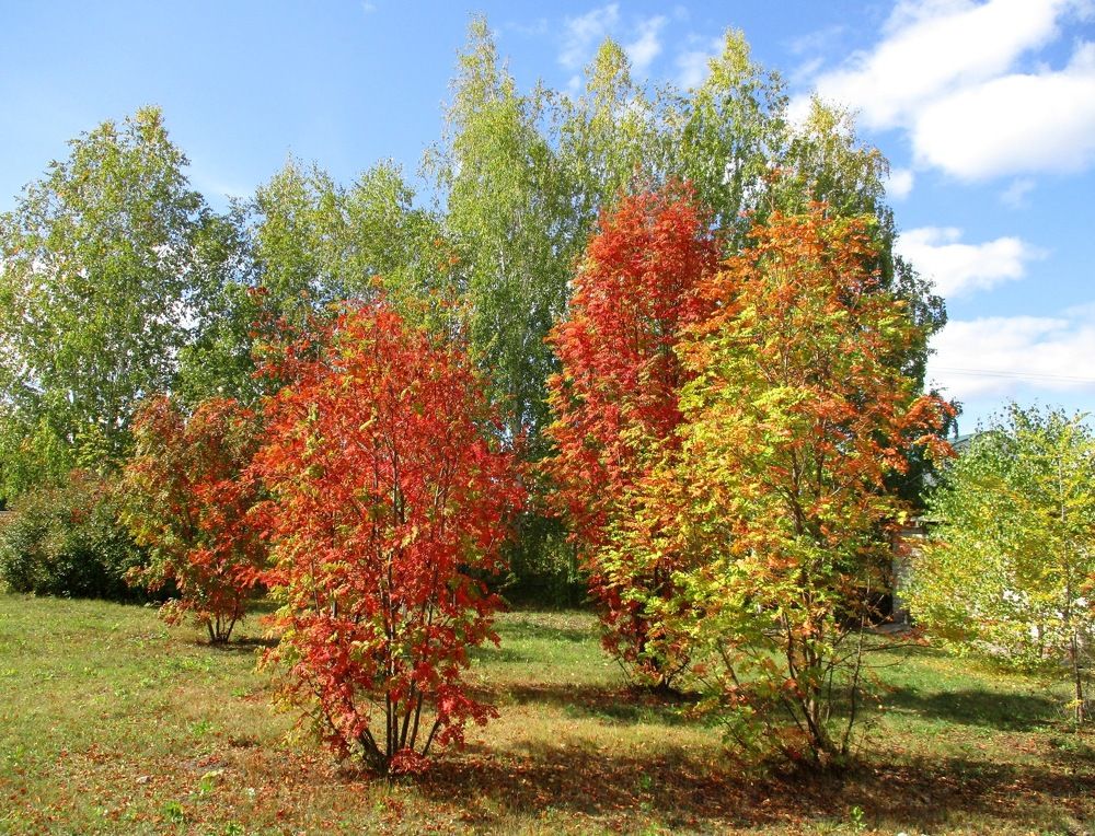 Photograph by Татьяна Иваненкова