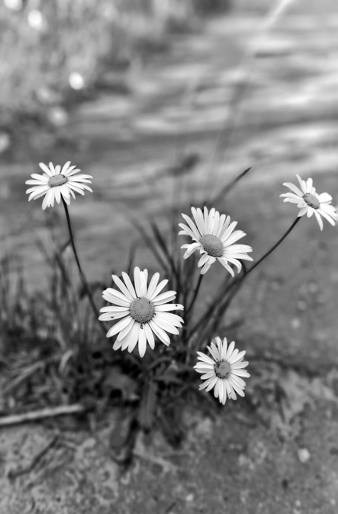 Фотография автора Евгения Зайцева